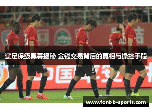 辽足保级黑幕揭秘 金钱交易背后的真相与操控手段